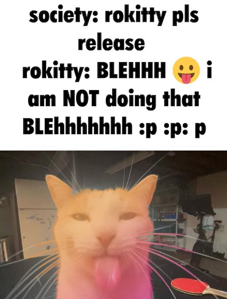 RoKitty tweet media