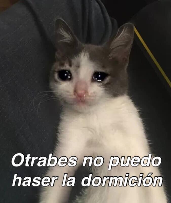 Diviei's tweet photo. https://t.co/t8YwGvgF1j