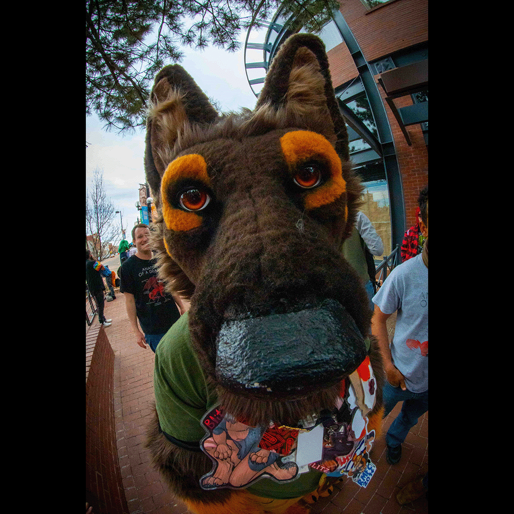 ReyoRedwolf (@reyoredwolf) on Twitter photo I finally organized my photos and will be posting them on BlSky, X and Instagram.
Please tag your account and PM for removal requests.
Find me on Instagram <a href="/ReyoRedwolf/">ReyoRedwolf</a> I finally organized my photos and will be posting them on BlSky, X and Instagram.
Please tag your account and PM for removal requests.
Find me on Instagram <a href="/ReyoRedwolf/">ReyoRedwolf</a>