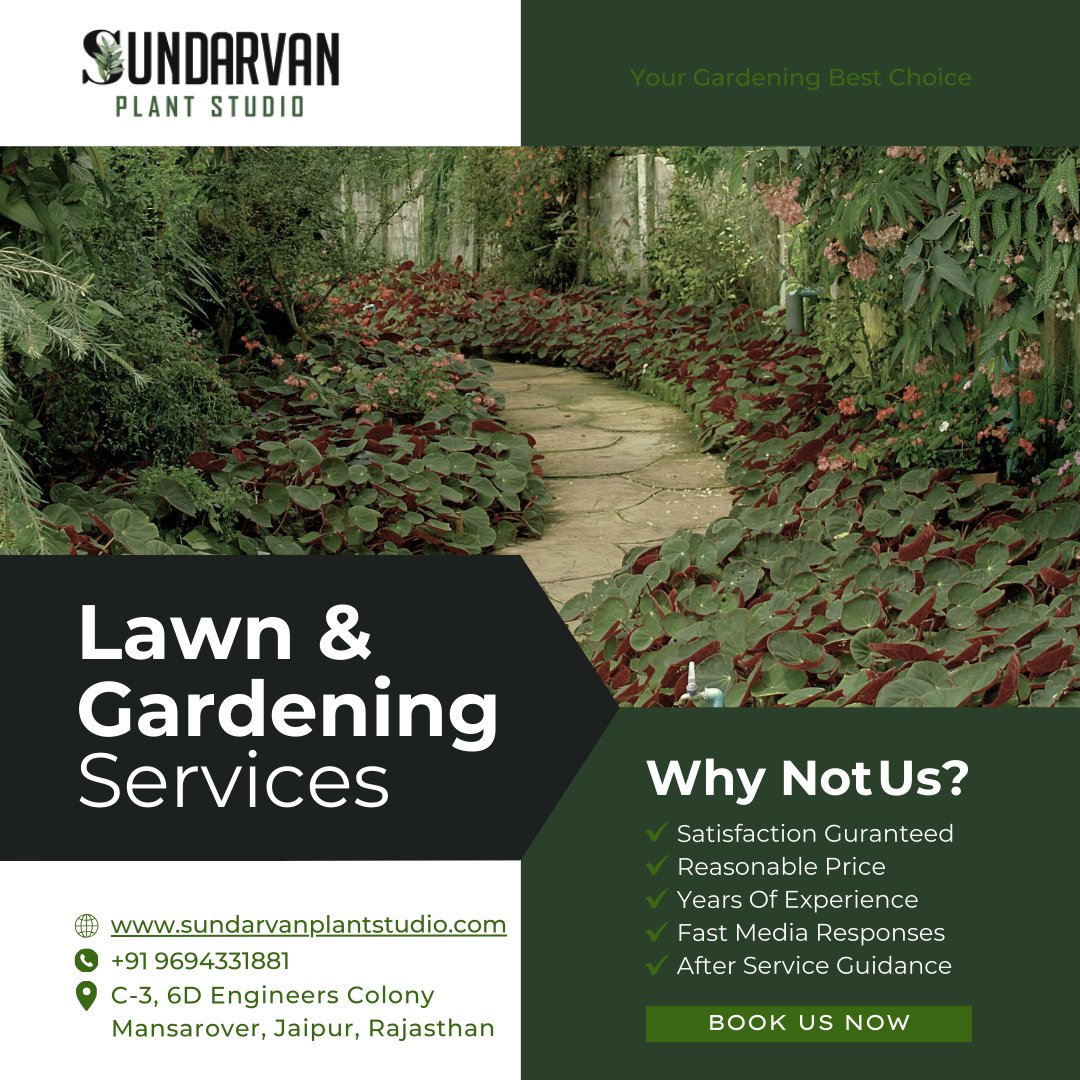 Sundarvan23's tweet photo. 📷📷 Elevate Your Outdoor Haven with Our Premier Garden Services! 📷📷
Is your garden in need of a little pampering? Let our skilled team of garden enthusiasts bring a touch of enchantment to your green sanctuary! 📷📷 https://t.co/VfendE7OTx
