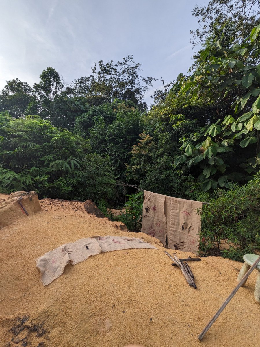 Year 6 stumbled upon a recently abandoned camp in the jungle earlier today. It looked as if a bear had been nearby. What could have happened? Who lived there? Where had they gone? Let the reading begin... #WolfBrother #ReadingHOOK #gislearning