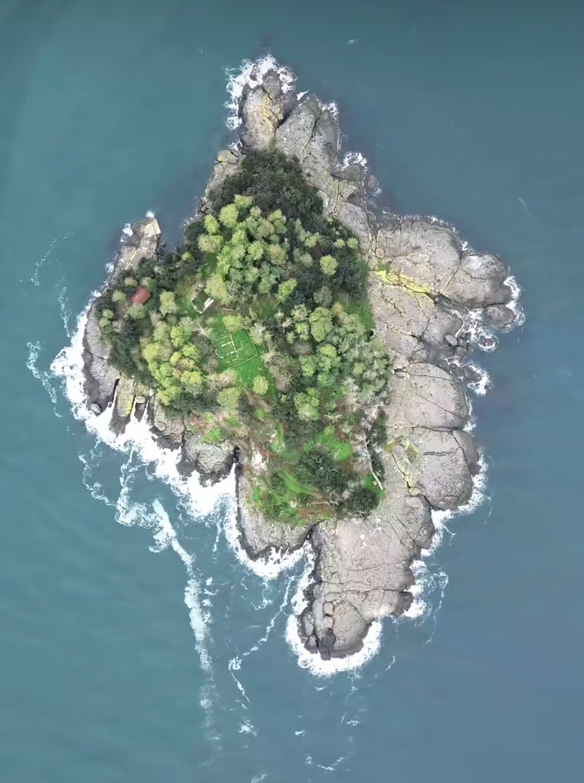 Günaydın #Giresun 🇹🇷🇹🇷🇹🇷🇹🇷🇹🇷 

#giresunyeşilbeyaz #giresun #giresunspor #fındık 💚🤍