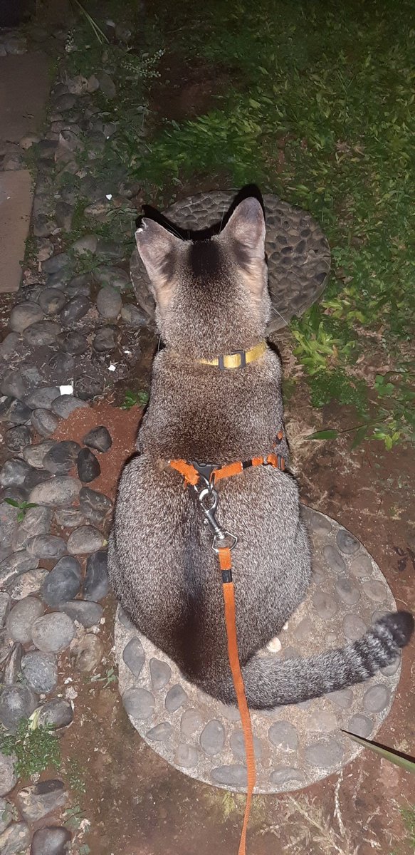 am waiting day and night