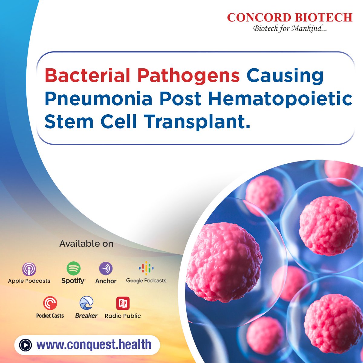 Join us on the #GoodHealthConquest podcast as we talk about the impact of #BacterialPathogens causing #pneumonia post #HematopoieticStemCellTransplant.

Listen now: spotifyanchor-web.app.link/e/gF262BHWoGb

#pulmonarycomplications #bacterialinfections #podcast #ConcordBiotech