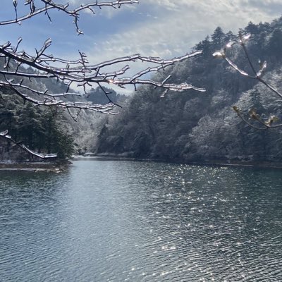 ray33971192's tweet photo. #新头像 https://t.co/fsP8ziecdI