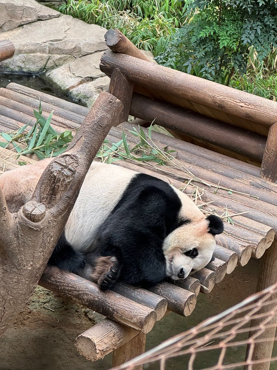 ZEROBASEONE tweet media