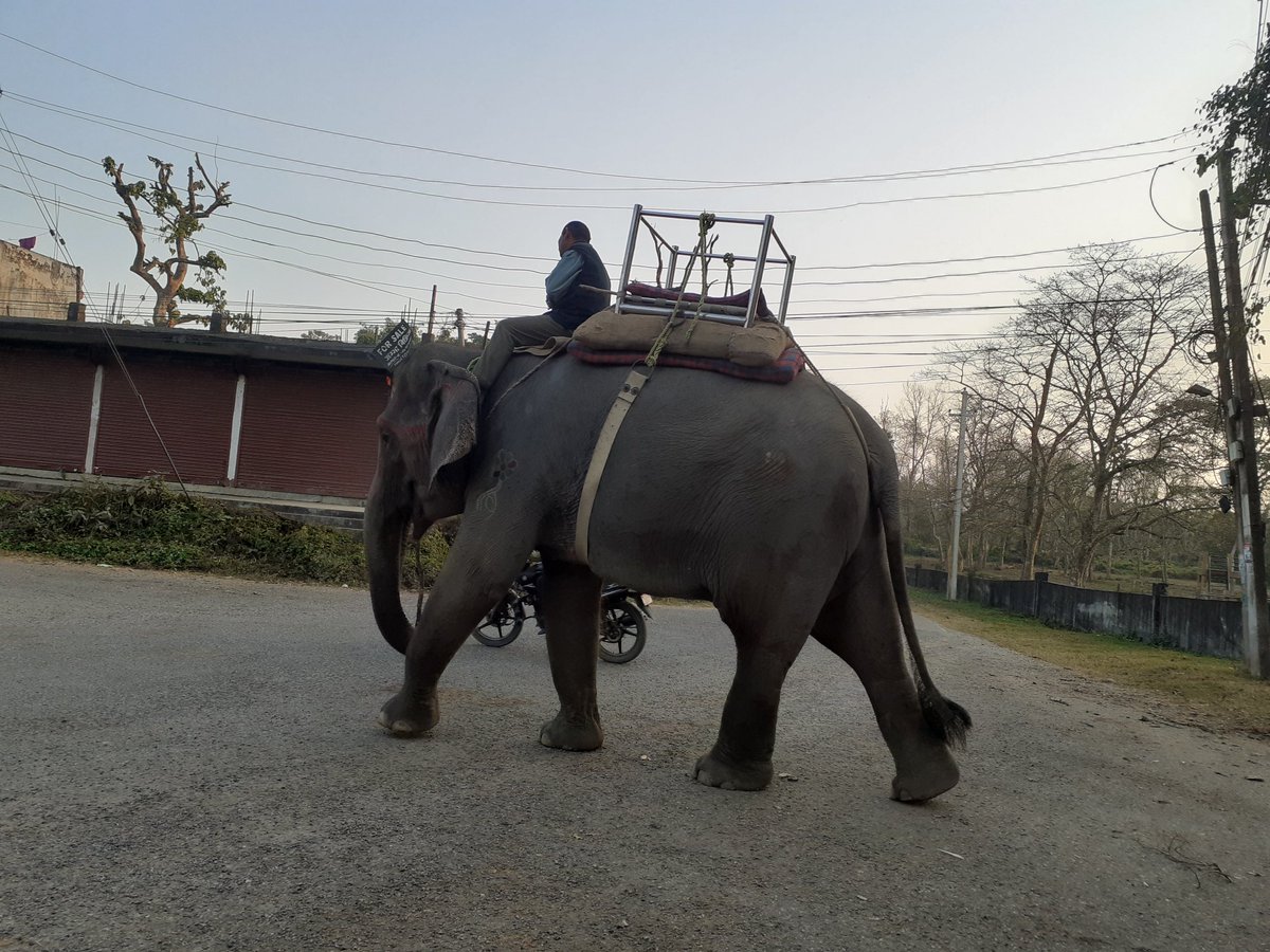 GumnamAdhikari's tweet image. #Sauraha