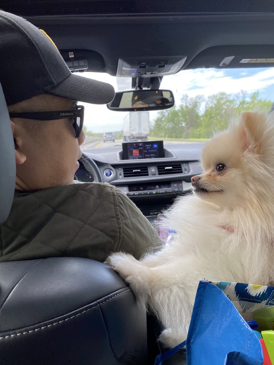 RiceLife43's tweet photo. Look Muffin we’ll just do it while no one’s looking… https://t.co/CzMveXMqsB