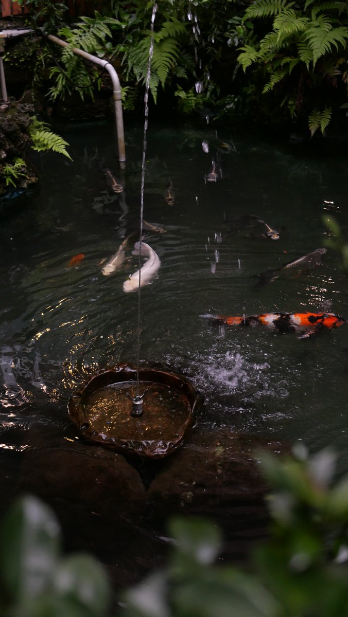 해방 후 충렬사가 된 대만 지룽신사. 입구엔 신사 시절의 석등이 2기 남아 있다. 하나는 완전한 형태로, 하나는 좌대만 남은 상태. 유치원 연못 옆의 완전한 녀석은 고양이의 피신처, 오리의 거처로 역할을 다하고 있다.