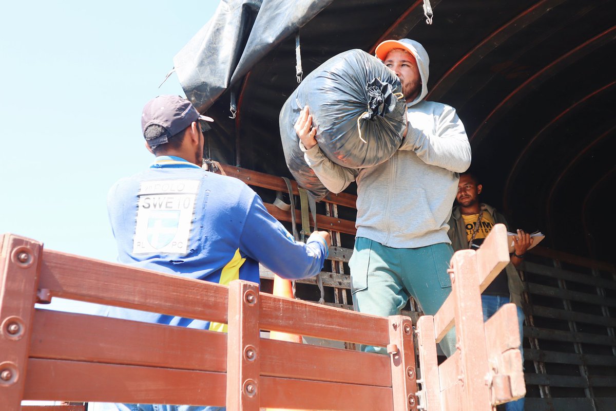 a_decorozal's tweet photo. La secretaría de Desarrollo Económico, Rural y Ambiental, en cabeza del doctor Carlos Barrios Canchilla y el acompañamiento de AGROSAVIA. Hacen la entrega de ensilaje de sorgo forrejero JJT18, y bloques multinutricionales a los productores agropecuarios del municipio de Corozal. https://t.co/EQPwAIYQTH