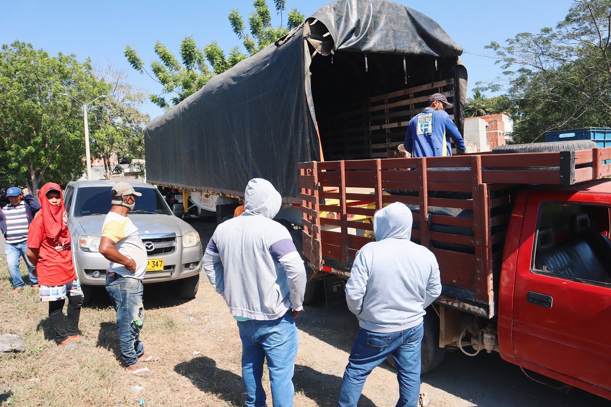 a_decorozal's tweet photo. La secretaría de Desarrollo Económico, Rural y Ambiental, en cabeza del doctor Carlos Barrios Canchilla y el acompañamiento de AGROSAVIA. Hacen la entrega de ensilaje de sorgo forrejero JJT18, y bloques multinutricionales a los productores agropecuarios del municipio de Corozal. https://t.co/EQPwAIYQTH