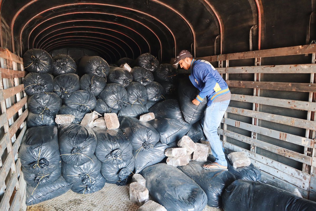 a_decorozal's tweet photo. La secretaría de Desarrollo Económico, Rural y Ambiental, en cabeza del doctor Carlos Barrios Canchilla y el acompañamiento de AGROSAVIA. Hacen la entrega de ensilaje de sorgo forrejero JJT18, y bloques multinutricionales a los productores agropecuarios del municipio de Corozal. https://t.co/EQPwAIYQTH