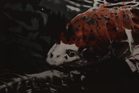 changsitte's tweet photo. ❛𝑻𝒘𝒆𝒏𝒕𝒚 thousand 𝒍𝒆𝒂𝒈𝒖𝒆𝒔 under the sea❜
                          𝐅𝐢𝐜𝐡𝐚. https://t.co/M1p16EjYgk
