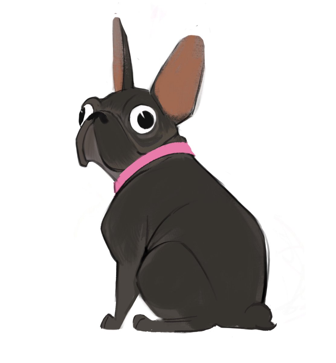 Over break, we had the pleasure of babysitting this iconic Frenchie named Lilly! I had to draw her 💖 she is the sweetest little froggie around😍 #characterdesign #frenchie #frenchielove #procreatedoodle #visdev #doggo #pup