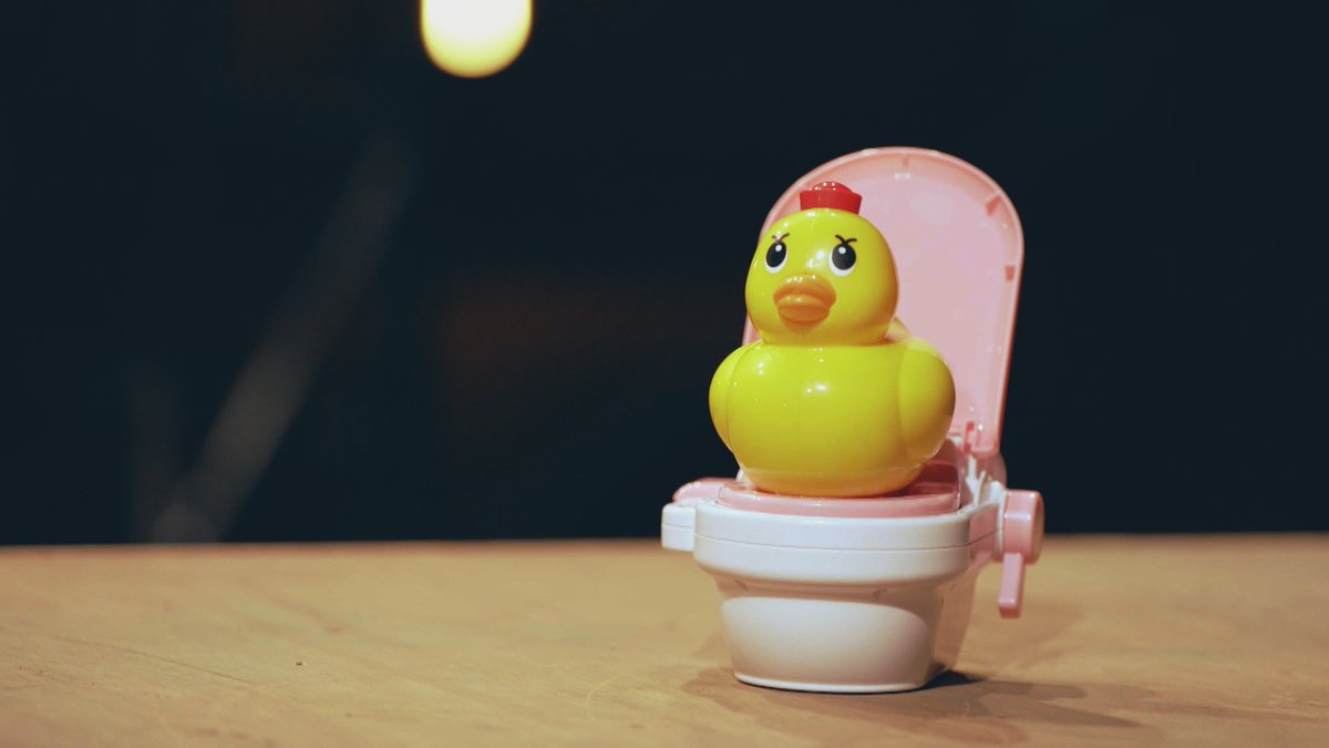 猫トイレ　アヒル商談中 ボンビアルコン オンラインショップ / 【猫トイレ用飛散ガード】プラス