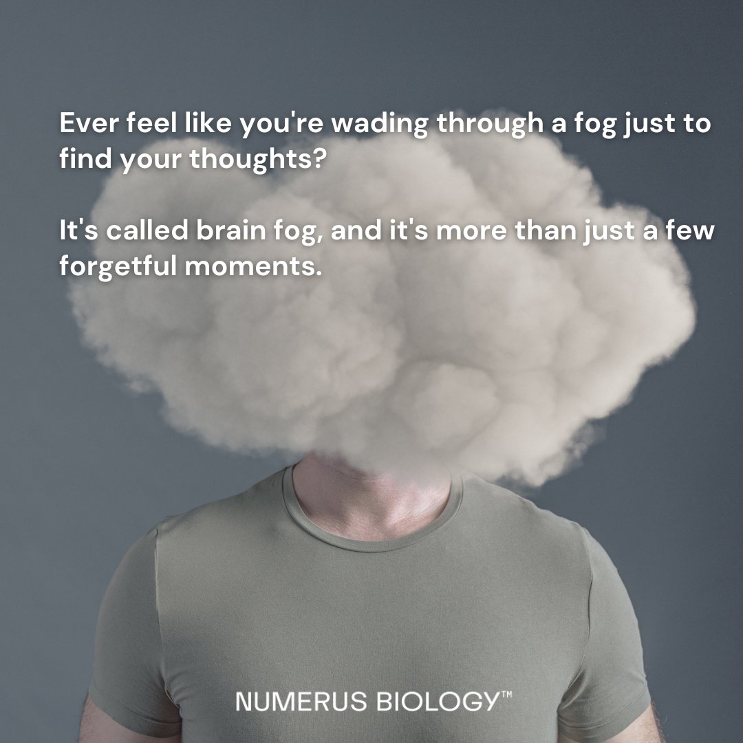 numerusbiology's tweet image. Ever feel like you're wading through a fog just to find your thoughts? It's called brain fog, and it's more than just a few forgetful moments.  NAD+  is a powerhouse in energy production for brain cells.#BrainFogBegone #MentalClarity #NADBoost