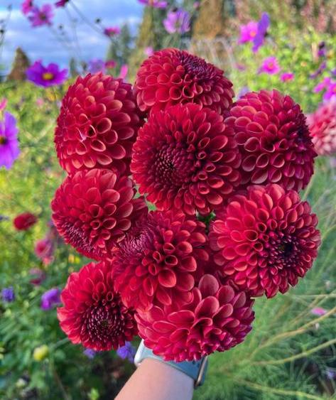 شكرا لكم جميعا على دعم المتابعة
Thanks all for following support
J18
@moham_even23
@saman_talatom
<a href="/Yasmineheba/">heba 👑</a>
@Mo7ammed05040
@HoaMalak
@alsydm18
@hrofkhrsa
@abwtlal1063708
<a href="/zeyadalaadah/">زياد العادة 💞 👇</a>
<a href="/A44B441/">عبدالحميد</a>
<a href="/abdulazizjh1/">عبدالعزيز</a>
@qqomghz
<a href="/AlAlraydt20563/">الشركة العلمية الرائدة للاستشارات البيئية</a>
<a href="/kol_ok71648/">اسلام جبارة</a>
<a href="/hndbdallh20/">هندعبدالله 🇸🇦🌹خبيره تجميل 💄💅#تابعني اتابعك 🔥</a>
<a href="/amany__2000/">اماني</a>