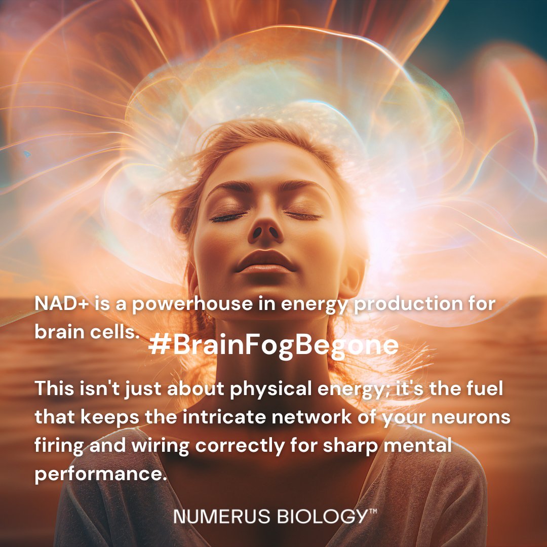 numerusbiology's tweet image. Ever feel like you're wading through a fog just to find your thoughts? It's called brain fog, and it's more than just a few forgetful moments.  NAD+  is a powerhouse in energy production for brain cells.#BrainFogBegone #MentalClarity #NADBoost