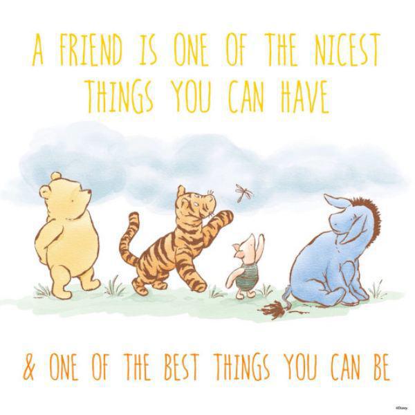 #Friendship 🌸💕
#WinnieThePoohDay ~ author A.A. Milne born OTD 18 January 1882 ❤️