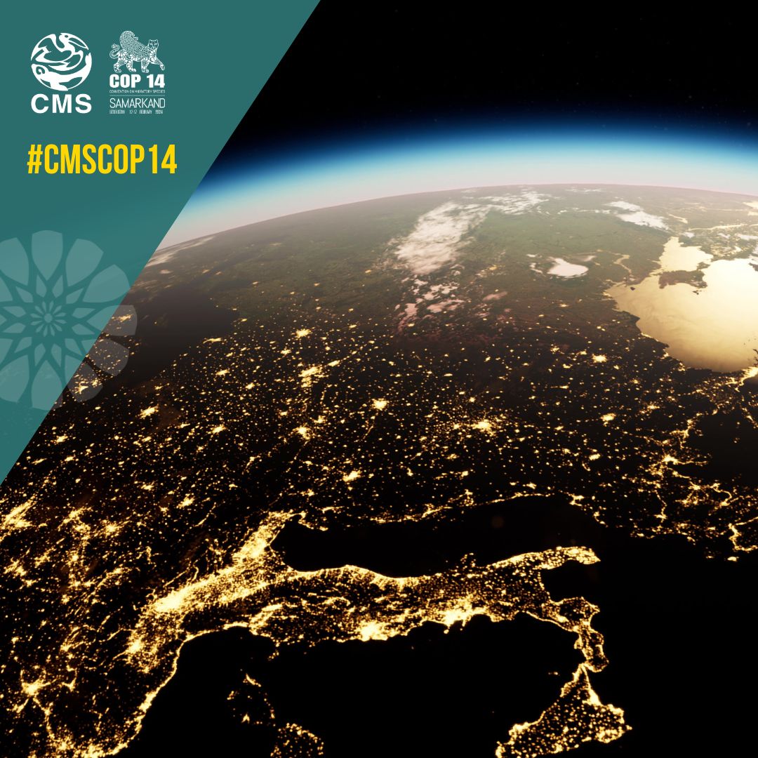 #Lightpollution is increasing worldwide with detrimental effects for #migratoryspecies such as bats, birds and marine turtles. New globally applicable guidelines to address this threat will be presented at #CMSCOP14. Dim the Lights for Wildlife! cms.int/en/document/li…