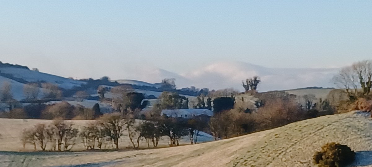 Patrick Brannigan also at bsky.social tweet media