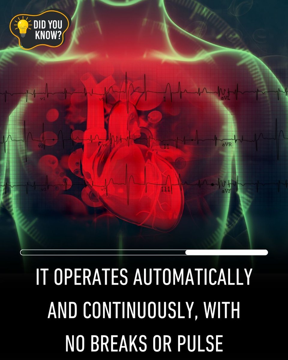 Did you know that the heart is the only muscle in the human body that doesn't need to rest?❤️😮
#heart #muscles #heartmuscle #human #humanbody #humanbodyfacts #viral #sciencequestorg