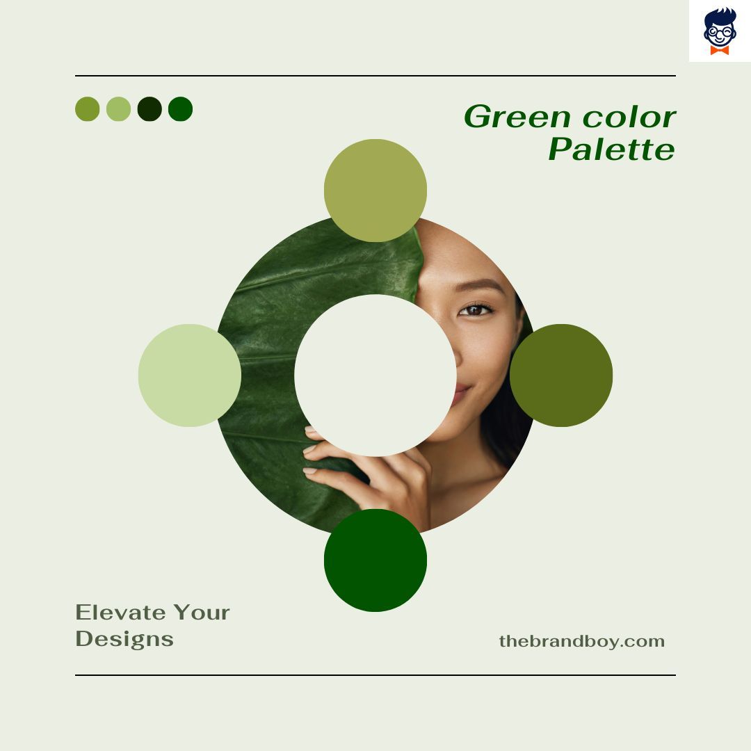 the_brandboy's tweet photo. Green Color Palettes To Elevate Your Design Projects! Choose the perfect palette to tell your brand's story. Save this post for later!

Read this article for more green design ideas: https://t.co/BET0ntGmvK 

#GreenColorPalettes #DesignInspiration #brandingtips #branding https://t.co/Q8EJHoXxsG