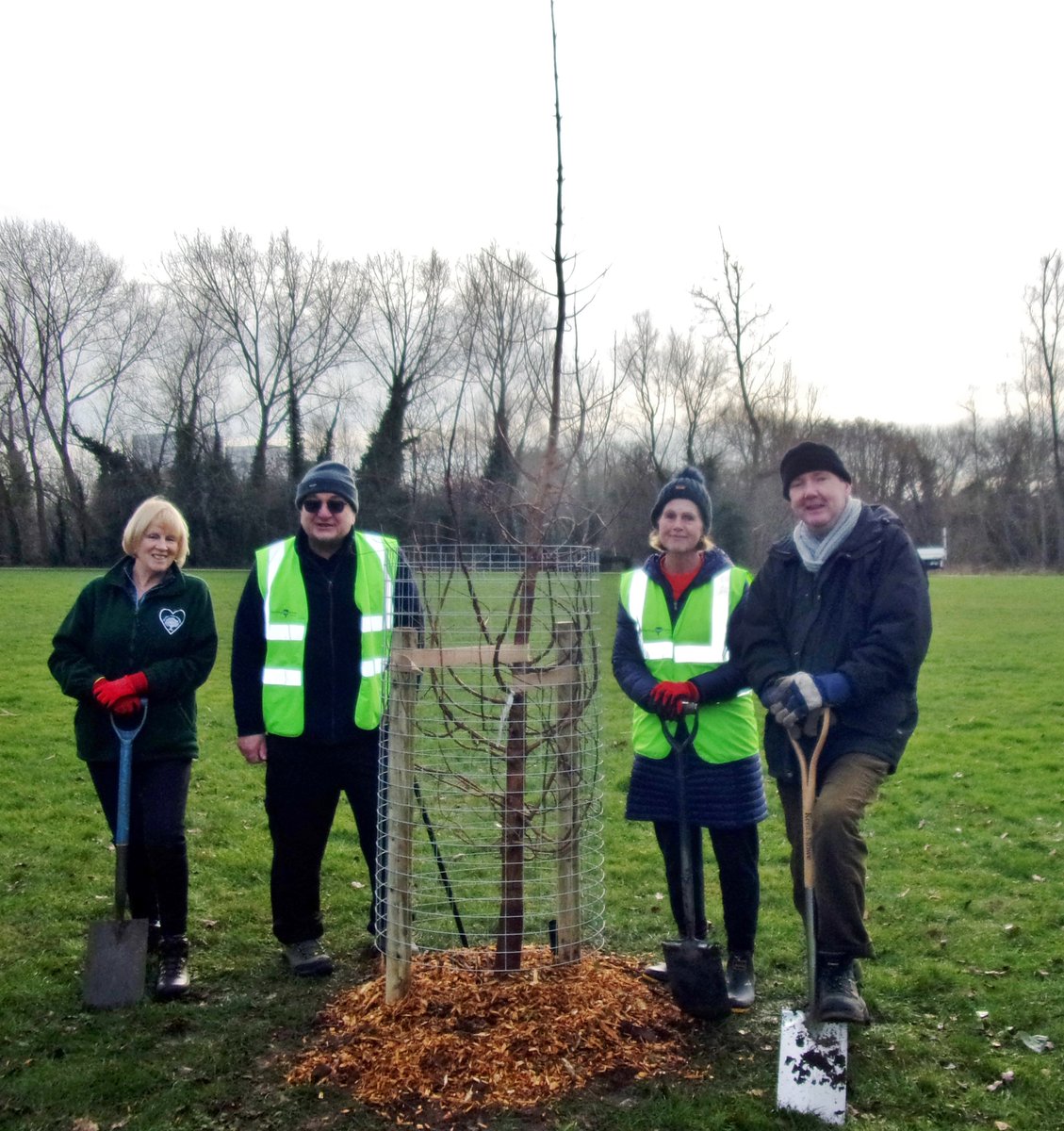 Solihull Tree Wardens tweet media