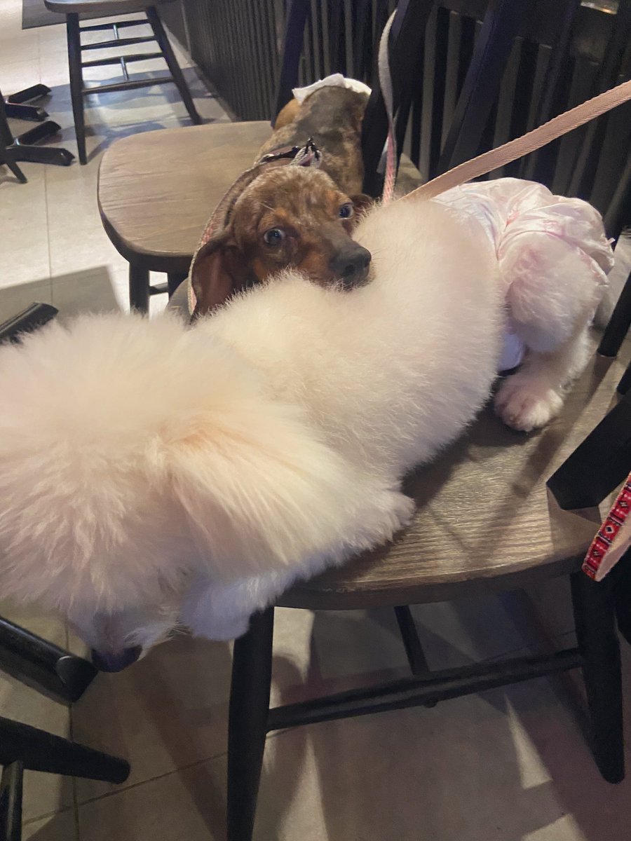 CDREYES__'s tweet photo. I’ll miss you baby star 😢 https://t.co/4Xi5q15HOk