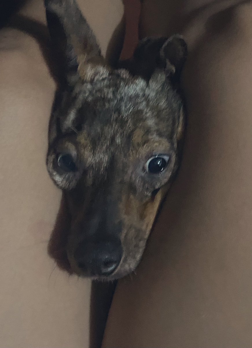 CDREYES__'s tweet photo. I’ll miss you baby star 😢 https://t.co/4Xi5q15HOk