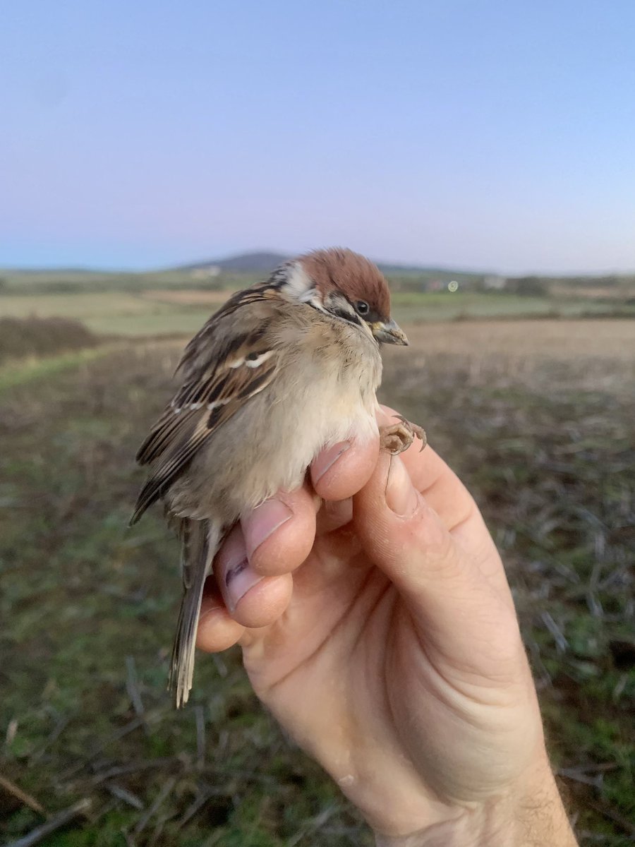 Robert Fisher tweet media