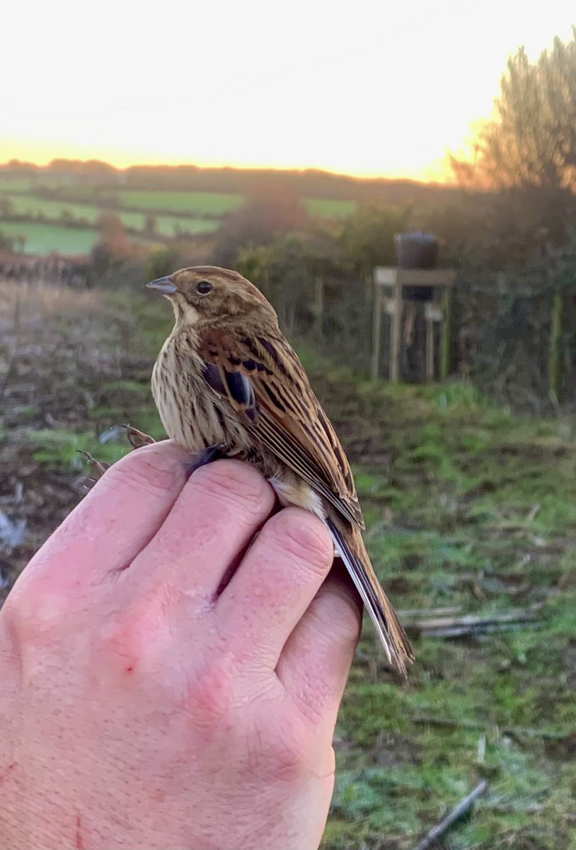 Robert Fisher tweet media