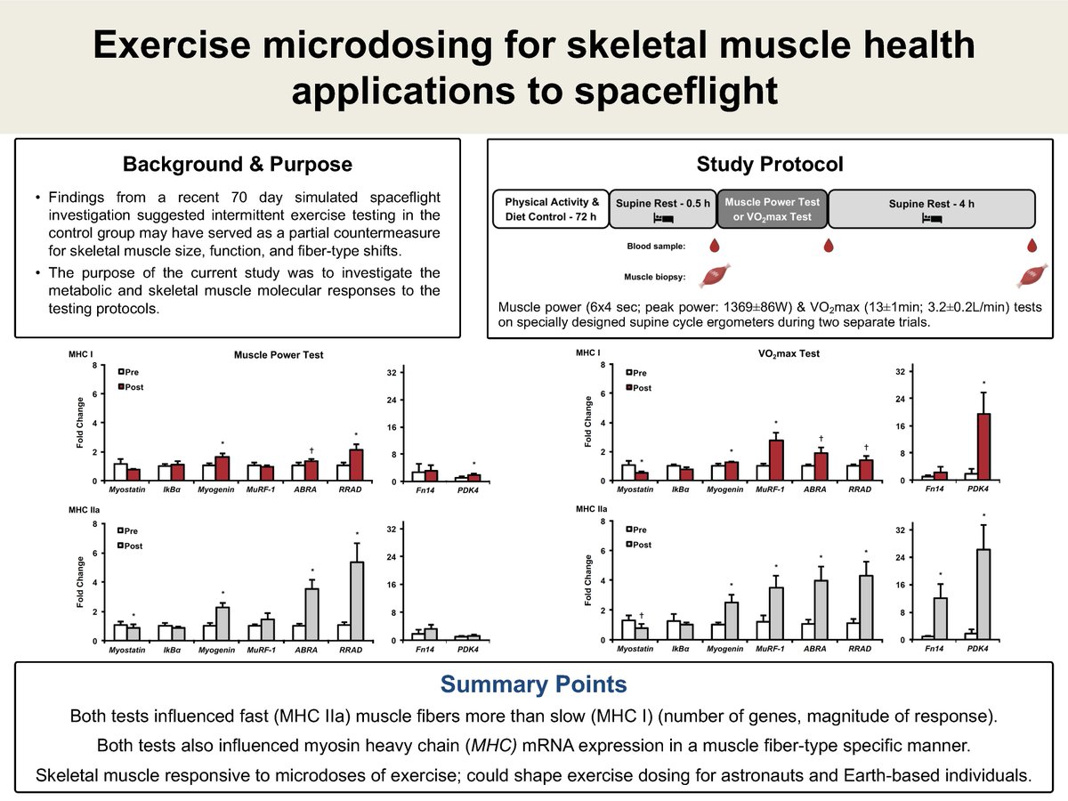 Journal of Applied Physiology (@japplphysiol) on Twitter photo #ArticlesInPress, #Exercise microdosing for skeletal #muscle health applications to spaceflight
Adam C. Voss, et al.
🖱️ow.ly/x3cO50Qqs4B
#JAPPL <a href="/HPLBallState/">HPL at Ball State</a> #ArticlesInPress, #Exercise microdosing for skeletal #muscle health applications to spaceflight
Adam C. Voss, et al.
🖱️ow.ly/x3cO50Qqs4B
#JAPPL <a href="/HPLBallState/">HPL at Ball State</a>