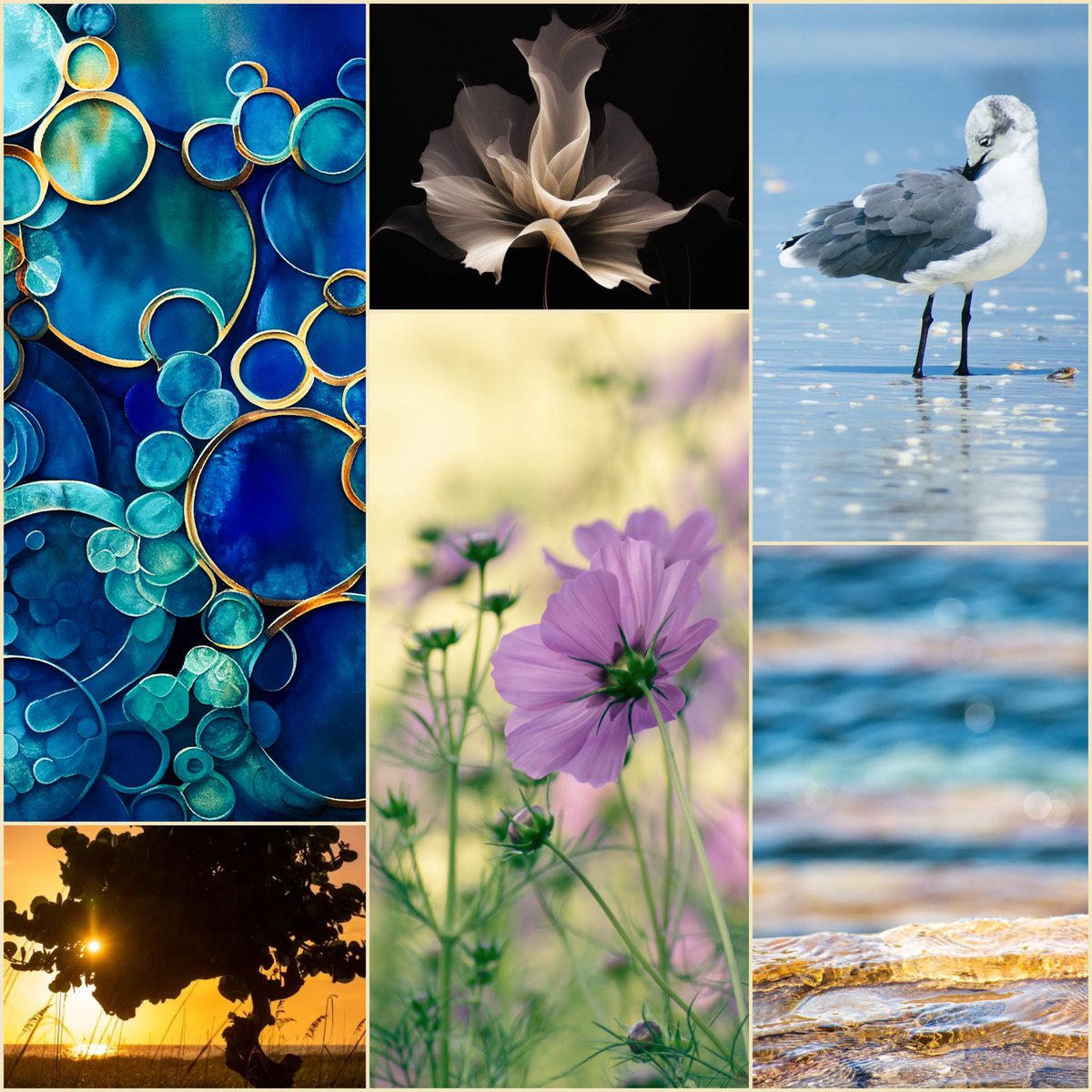 GM GM! 

This collage includes available work of mine on SOL, ETH, and XTZ. Come have a look!

artzydreams.eth.co