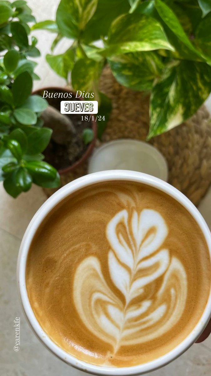 Hola gente linda ☕🤎🌱
Que tengan un excelente día #18Enero que todo les sume y nada les reste ! Por aca su #cafecito ☕🤎🌱 #CoffeeLover 
#CoffeeTime