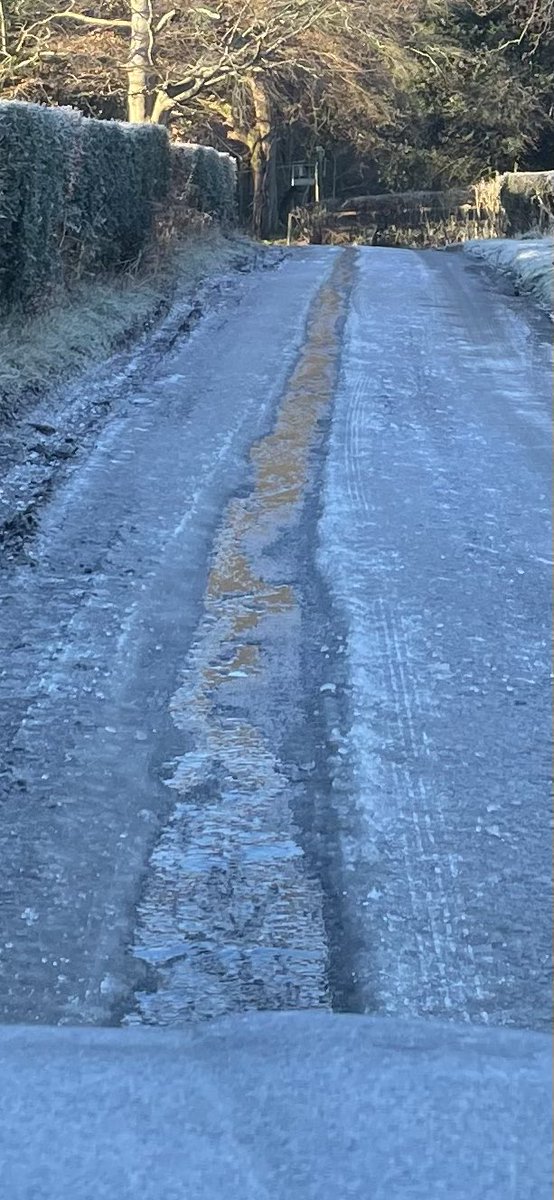 David Engel tweet media