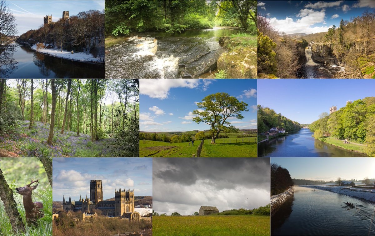Come and join us in beautiful Durham to help shape more impactful #conservation biology! See advert below ⬇️.
<a href="/EcologyJobs/">EcologyJobs</a> <a href="/ConservationJob/">Conservation Jobs 🌍</a> <a href="/jobconservation/">Conservation Jobs</a> <a href="/environmentjob/">Environmentjob.co.uk</a> <a href="/EnvironmentJob_/">Environmental Jobs</a> <a href="/NvironmentJobs/">environmentjobs</a> 
#knowledgeExchange