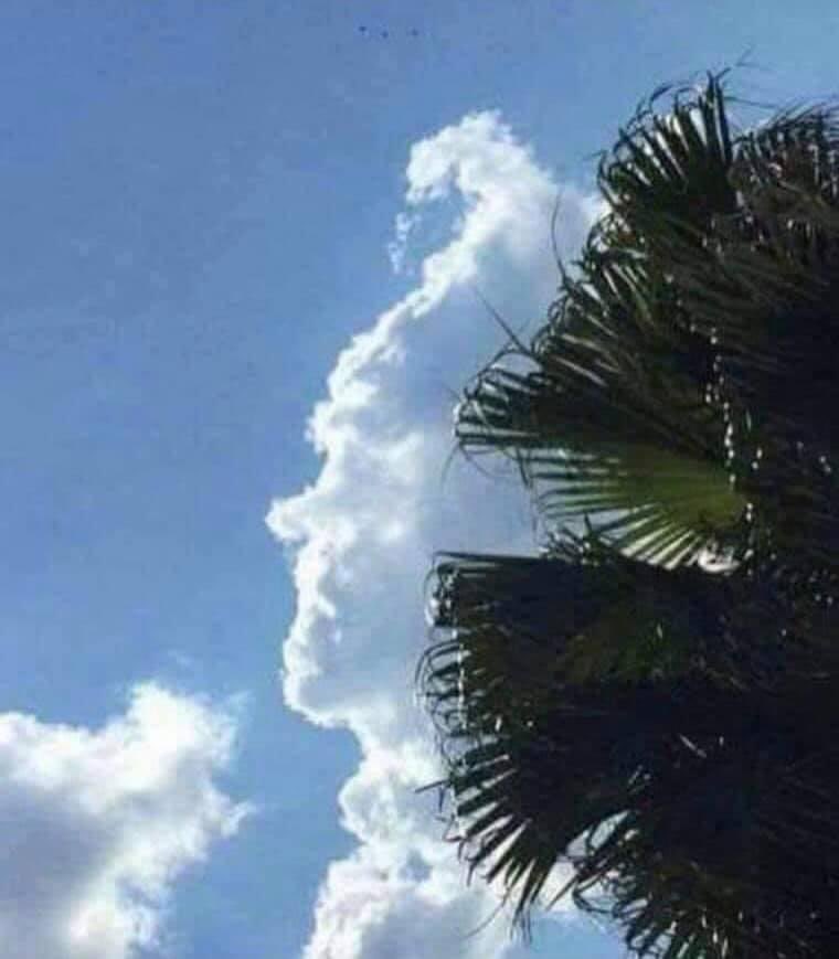 The Art of the Soul (@theartofthesou1) on Twitter photo Cloudy with a chance of Morrissey again this weekend peeps 🎹 ♥️
<a href="/WolfMoz/">theSMITHS/MORRISSEY</a> <a href="/MANCHESTERMUS10/">ᴍᴀɴᴄʜᴇꜱᴛᴇʀ ᴍᴜꜱɪᴄ ꜰᴏʀᴇᴠᴇʀ™️</a> <a href="/MusicOfMCR/">Music Of Manchester</a> <a href="/ManchesterLemon/">Manchester Lemon</a> Cloudy with a chance of Morrissey again this weekend peeps 🎹 ♥️
<a href="/WolfMoz/">theSMITHS/MORRISSEY</a> <a href="/MANCHESTERMUS10/">ᴍᴀɴᴄʜᴇꜱᴛᴇʀ ᴍᴜꜱɪᴄ ꜰᴏʀᴇᴠᴇʀ™️</a> <a href="/MusicOfMCR/">Music Of Manchester</a> <a href="/ManchesterLemon/">Manchester Lemon</a>