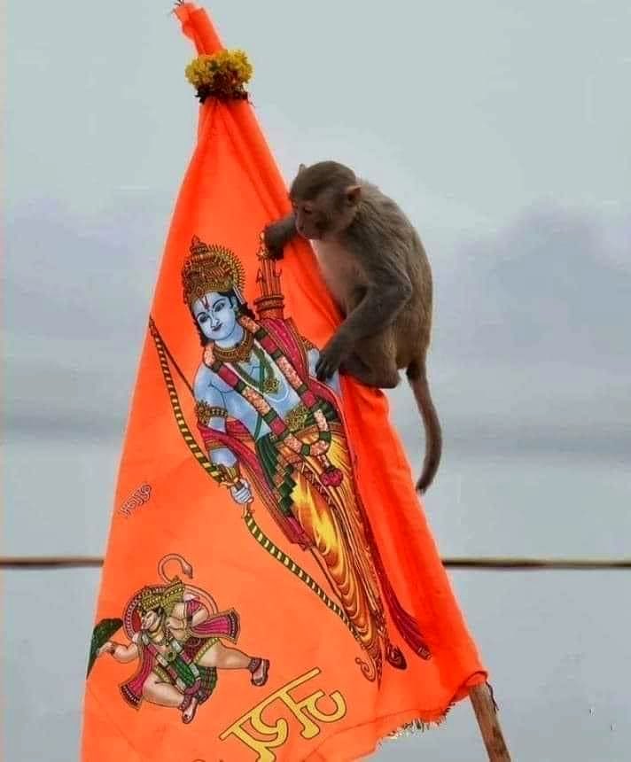 apaarsharma7's tweet photo. ये नज़ारा सिर्फ़ अयोध्या में हि दिख सकता है
राम ही राम।
#राम_मंदिर #अयोध्या_के_राजा_राम 
#picoftheday #AyodhyaDham #AyodhyaRamMandir 
@ShriRamTeerth https://t.co/Q3EbUk1WSa