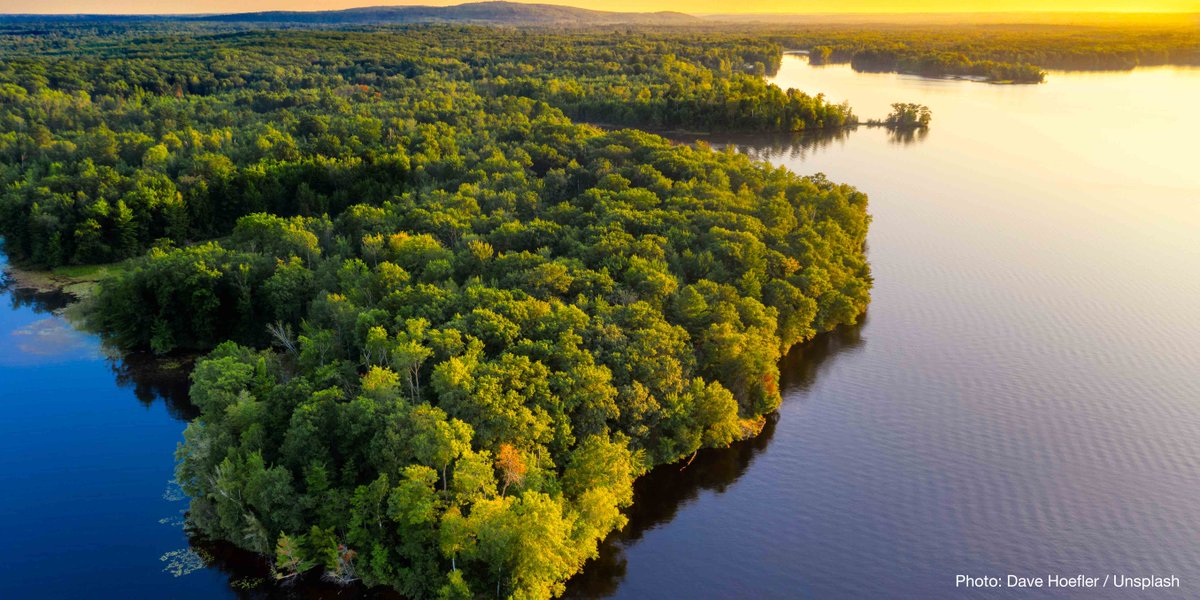 🐘 Protecting and conserving areas of importance to biodiversity
🌀 Using #NaturebasedSolutions for climate and disaster risk reduction
🌱 Investment in soil and land health

These are just some of the recommended actions from our recent #SDG report.

bit.ly/3EQcUKF