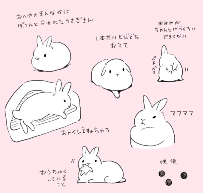 かいぬしってこういうのが好きなんでしょ?