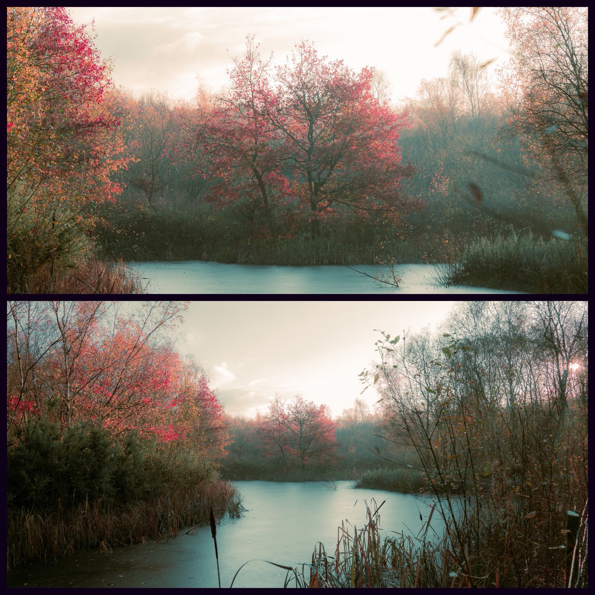 The dreamiest of mornings