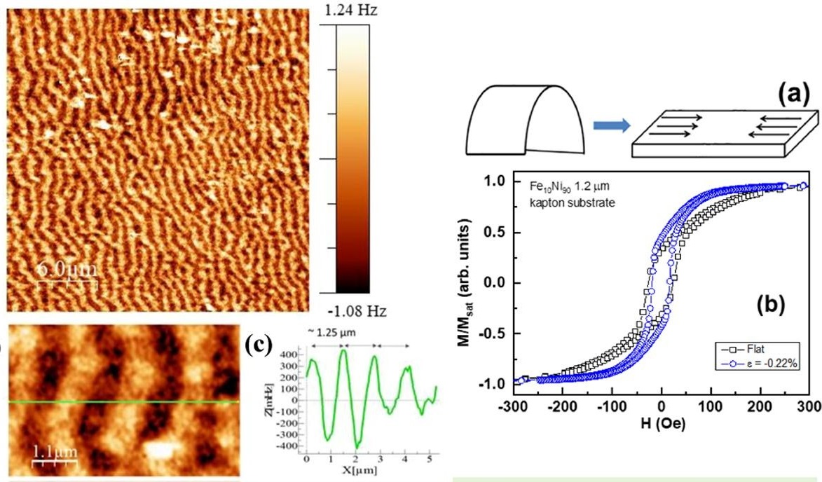 budgetsensors's tweet photo. Investigation of the formation of stripe domains in electrodeposited magnetoelastic Ni90Fe10 thin films with the help of our MagneticMulti75-G AFM probes
https://t.co/4WjhWiYZye 
 #AFM #AFMProbes #AtomicForceMicroscopy #AFMtips #MFM #MagneticForceMicroscopy #nickeliron #NiFe https://t.co/PiM9X9KZlt