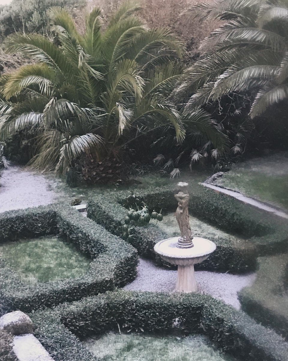 Oh my goodness!! We have snow! A thickly swirling blanket sending the gulls keening on the rooftops and transforming our courtyard #Perranuthnoe #westcornwall 
#Courtyard #subtropicalgarden