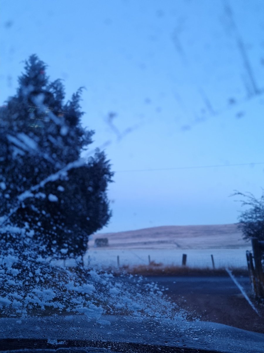 Dr Emma Ives tweet media