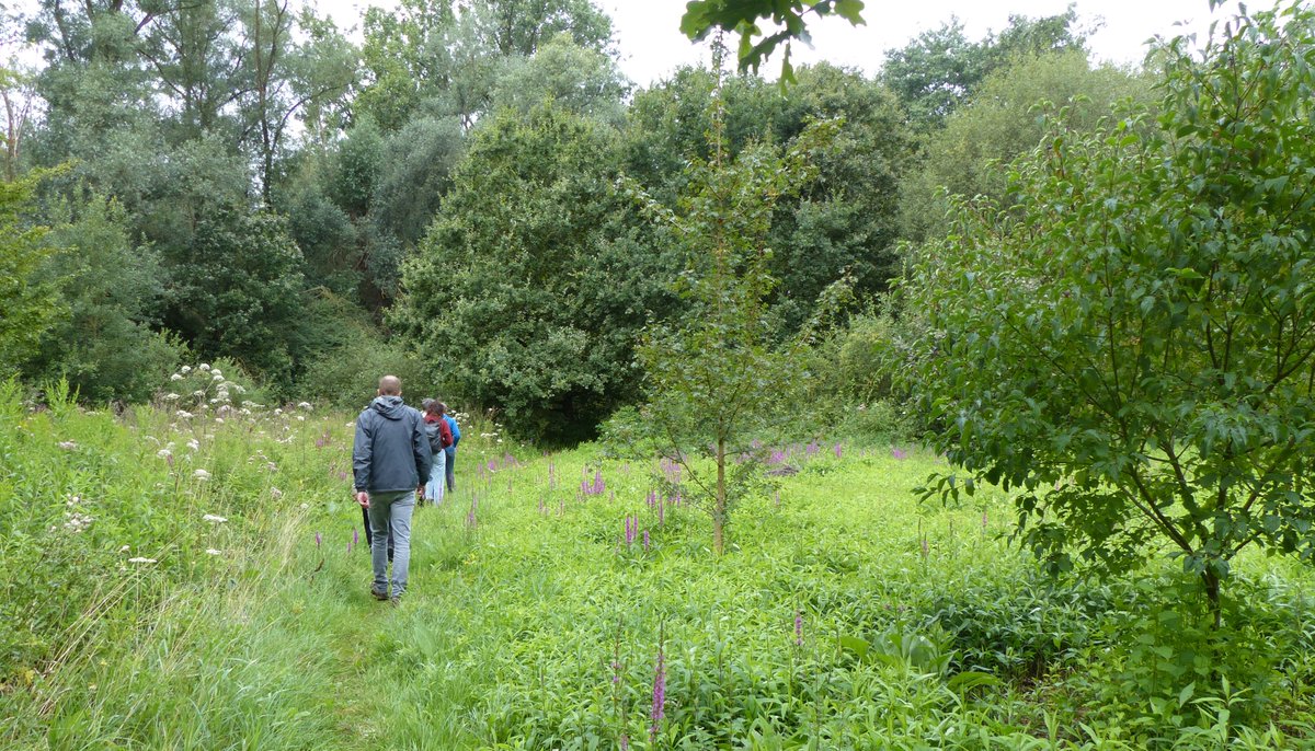 FilipVerbelen's tweet image. Greenpeace tekent opnieuw bezwaar aan tegen plannen #plopsaqua om in @StadMechelen een mooi  bos deels te vernielen, &amp;gt;1000 parkeerplaatsen en een mega waterpretpark (verwarmd op aardgas) te bouwen. @BartSomers @PatrickPrincen @kristocalvo: @bosplus @MijnNatuurpunt @GroeneBuffer