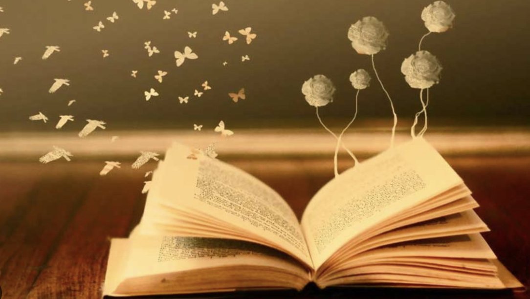 Elaine S, Reader, Writer, Creator tweet media