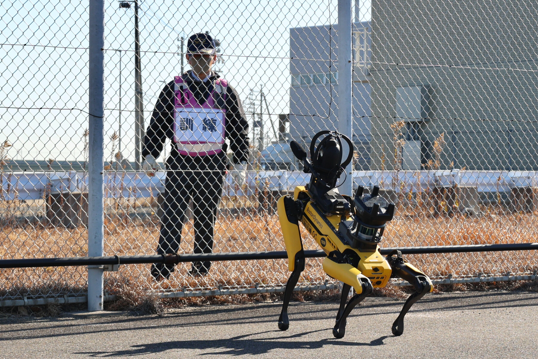 未使用 ロサンゼルス レイカーズ ノベルティ 現地 試合観戦 デルタ航空 コラボ 未使用 ロサンゼルス レイカーズ ノベルティ 現地 試合観戦