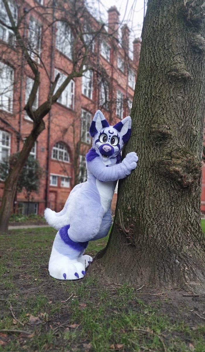 Who's going to @LeedsFurs this weekend?! #furry #fursuit