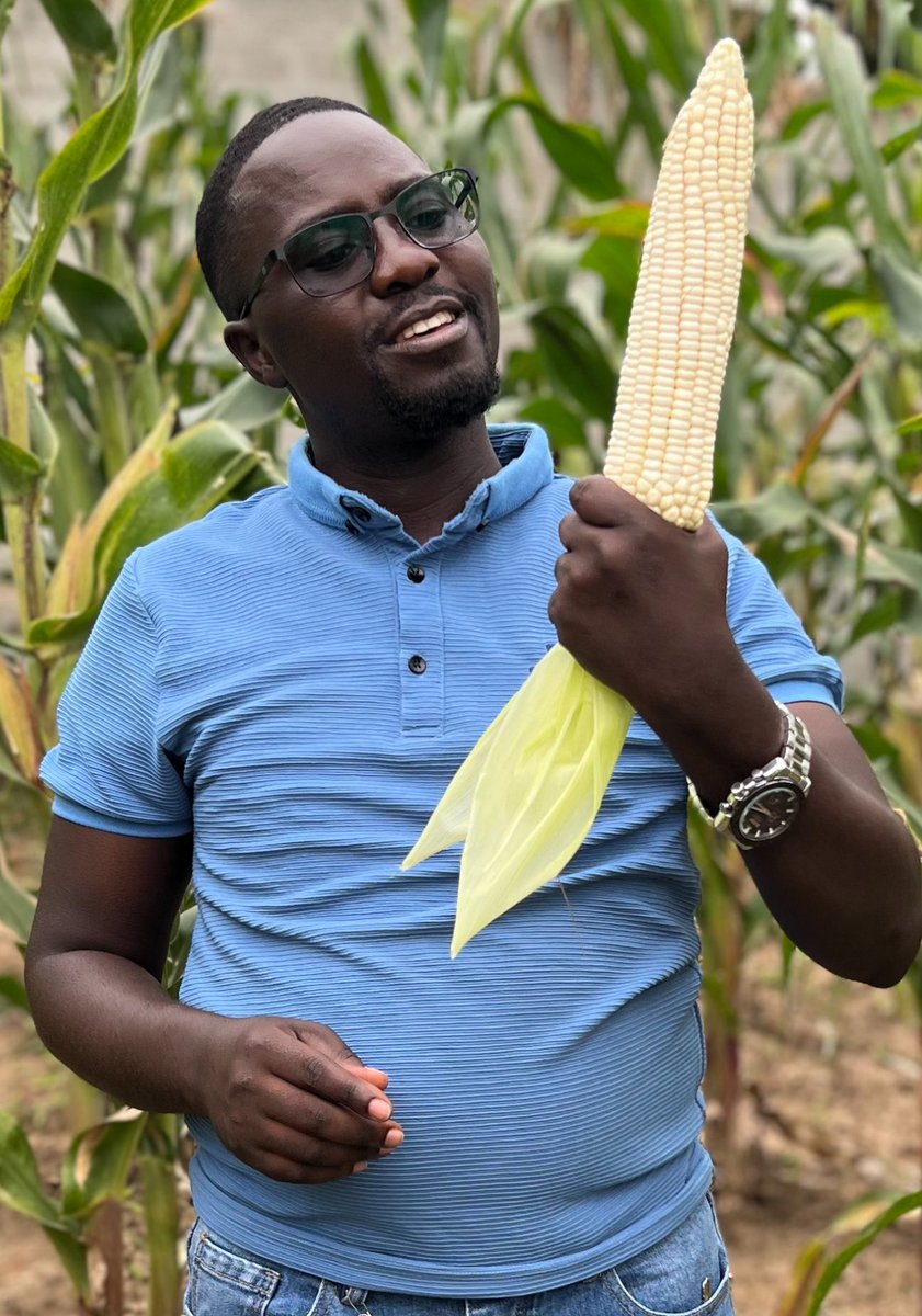 Tis the season to #HarvestMoney 💪🏾💪🏾

Am here doing a <a href="/razakomia/">Omia🌽</a> 😂😂